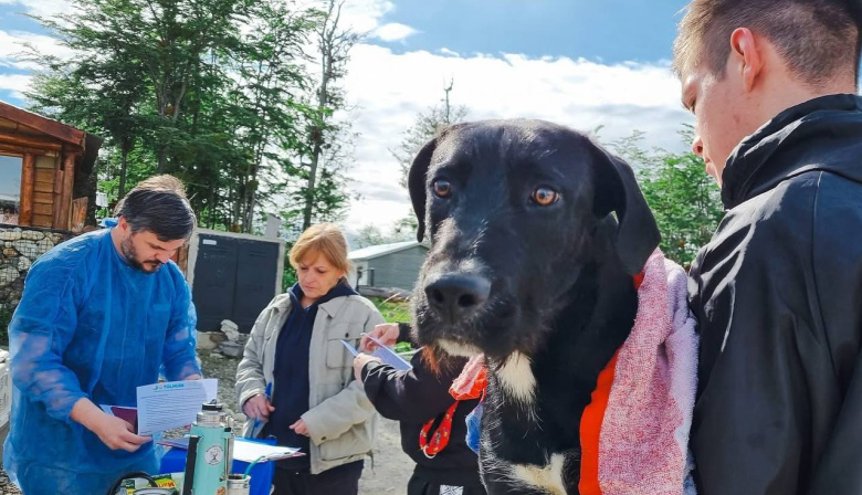A un año de la emergencia zoonótica, el Municipio de Tolhuin presentó el informe de gestión en salud veterinaria y desarrollo sostenible