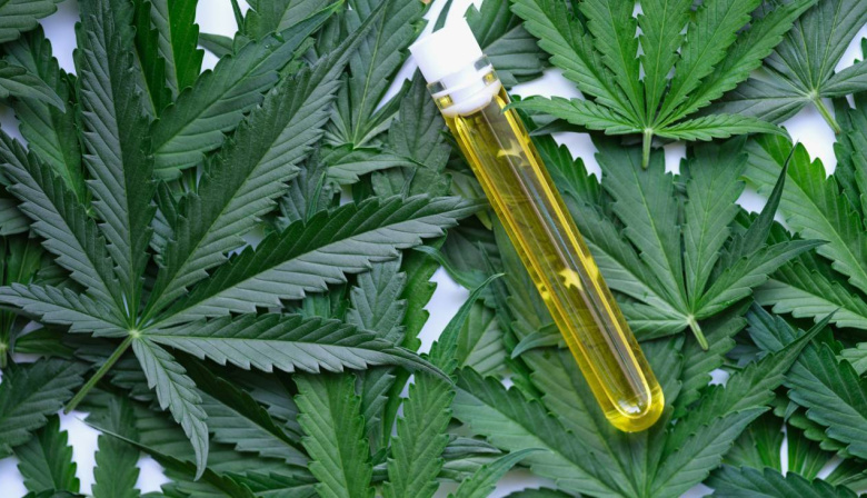 Prohíben comercialización de aceites y cremas con cannabis por falta de aval sanitario