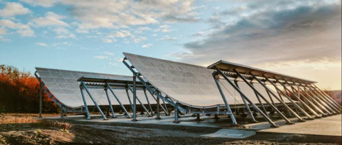 La justicia provincial declaró la nulidad de la inscripción de Leolabs Argentina S.R.L.