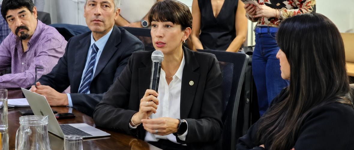 Alejandra Man advirtió que la crisis industrial “es una de las peores de las últimas décadas”
