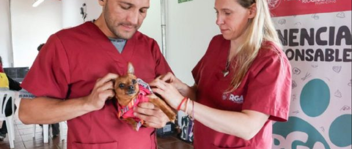 “Una mascota es un integrante más de la familia”: el Municipio refuerza la tenencia responsable