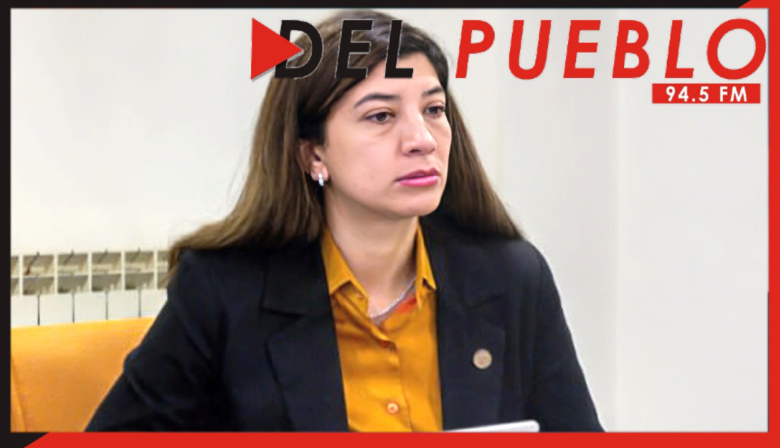 Venta ‘puerta a puerta’ de electrónicos fueguinos: “Estamos ante un escenario aún desconocido”