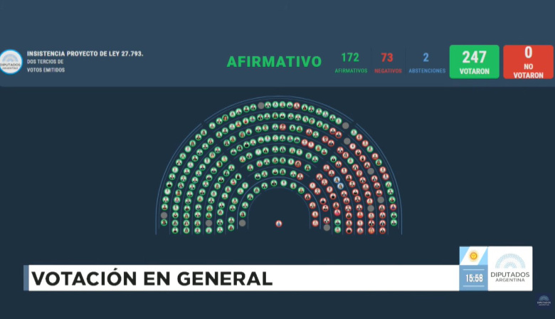 Revés para el Gobierno: Diputados rechazó el veto de emergencia en Discapacidad