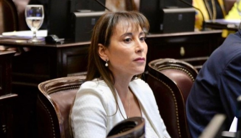 “Vamos a rechazar los vetos de Milei en contra de las Universidades y el Hospital Garrahan”