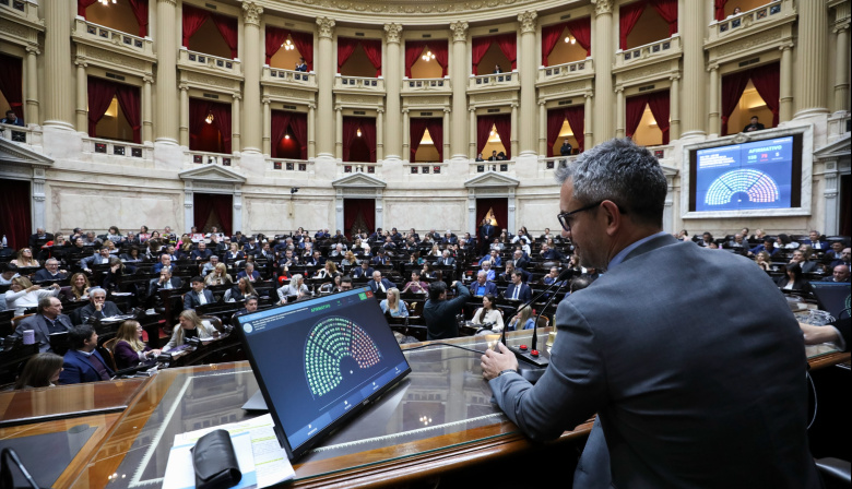 Diputados debatirá este miércoles los vetos al Garrahan y a Universidades