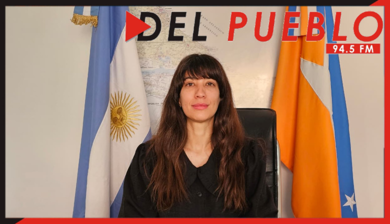 Crisis industrial: “La apertura de importaciones compite directamente con el producto fueguino”