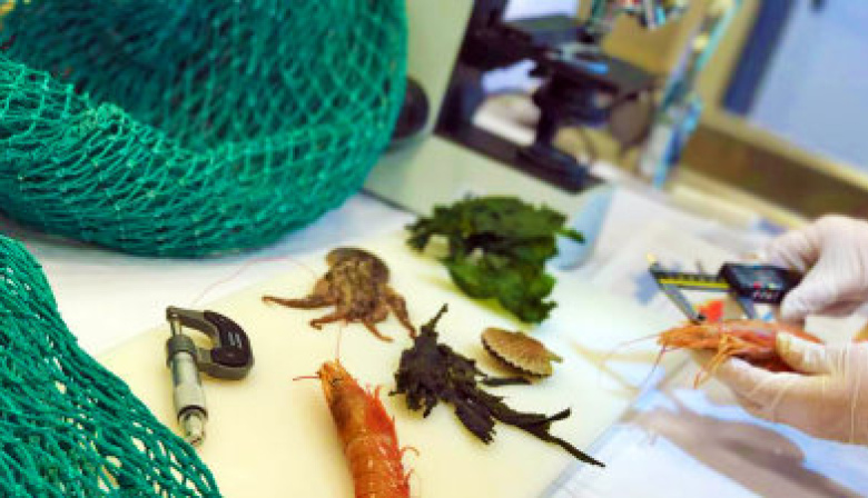 La UTN convoca a la inscripción para Ingeniería Pesquera