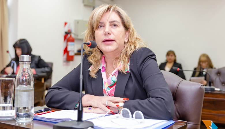 Martínez justificó la suspensión y defendió el dictamen sobre salmonicultura