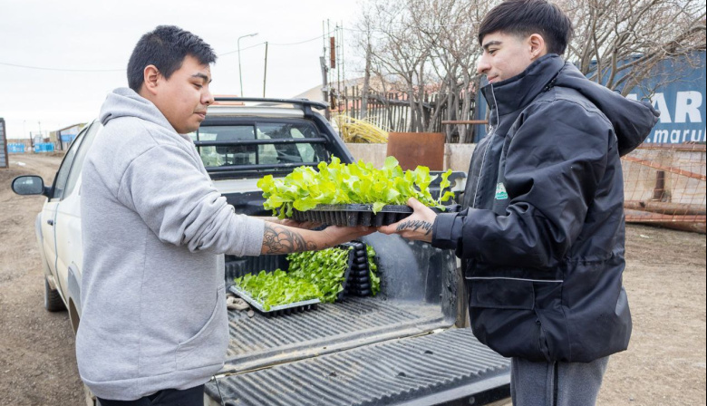 Más Producción: 1.000.000 de plantines de verduras entregados durante la temporada