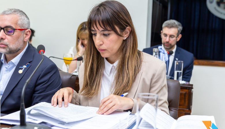 La legisladora Laura Colazo rechaza la modificación de la Ley N°1355