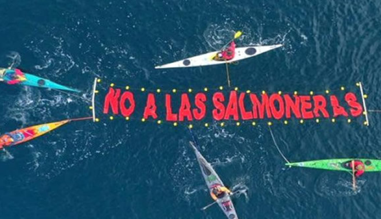 Mane Kenk judicializará la reforma que habilita la cría de salmones en Tierra del Fuego