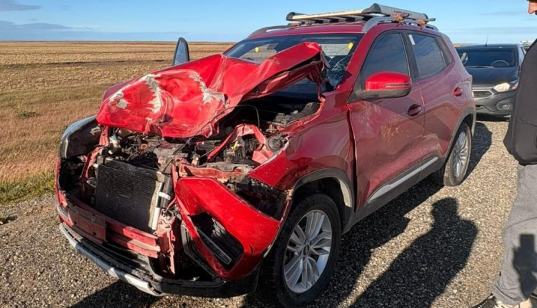 ​¡ALERTA EN RUTA 3!: Familia se salvó de milagro tras chocar un guanaco camino a Estancia Sara