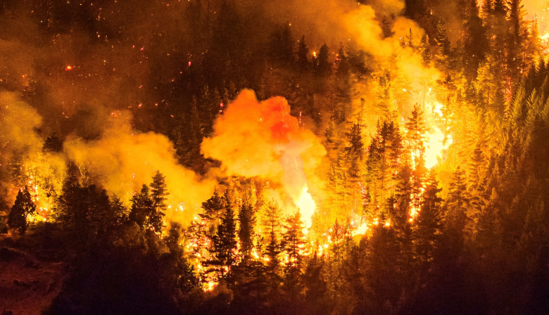 No es el pueblo Mapuche, es la voracidad extractivista: El reclamo por la Emergencia Patagónica