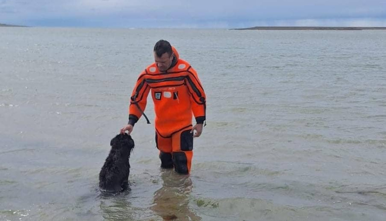 Personal de Prefectura rescató a un perro atrapado por la marea en Río Grande