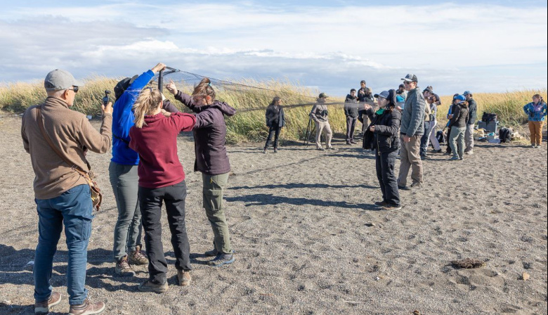 El municipio acompañó una capacitación científica clave para la conservación de aves migratorias en Rio Grande