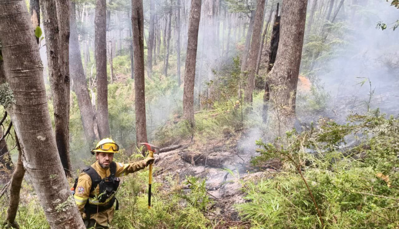 Tierra del Fuego envió brigadistas para combatir el incendio en el Parque Nacional Los Alerces