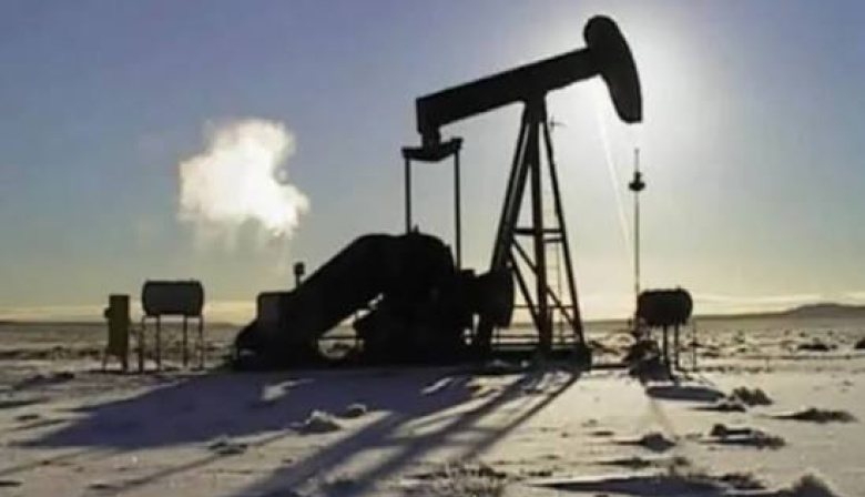 Los planes de la cordobesa Velitec para las áreas revertidas por YPF en Tierra del Fuego