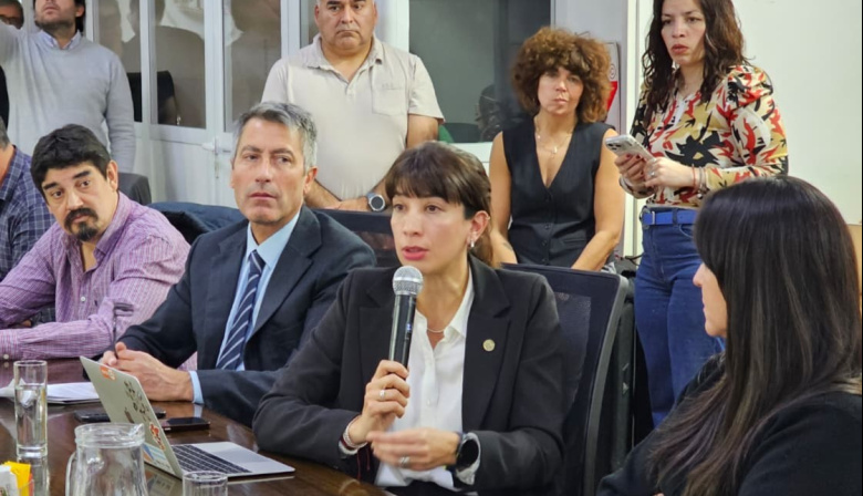 La Secretaría de Industria expuso ante legisladores sobre la situación del sector y el regimen de aduana en factoría