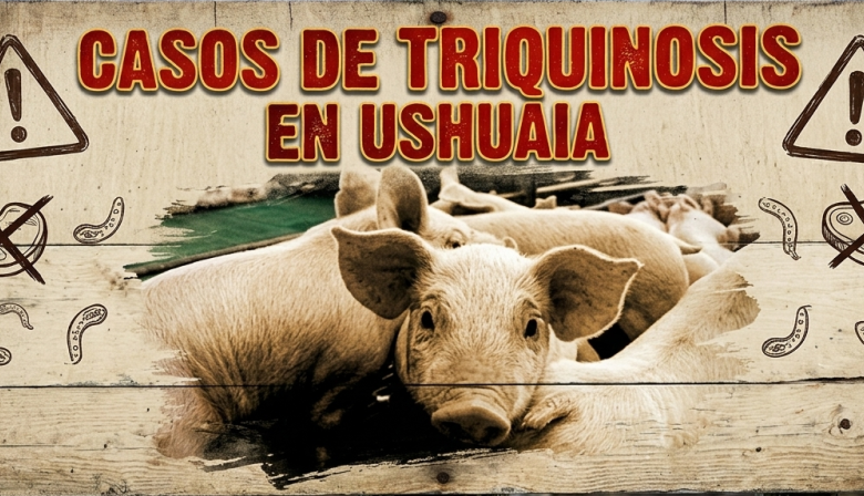 Brote de triquinosis en Ushuaia