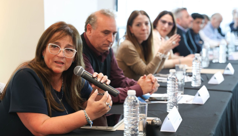 Tierra del Fuego planteó una mirada federal para la planificación energética y advirtió sobre el impacto de las tarifas en el interior