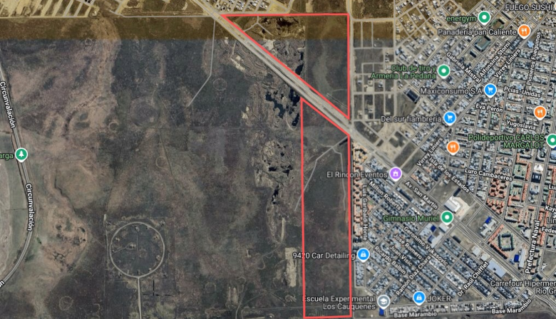 Andrea Freites alertó sobre el proyecto que busca flexibilizar la venta de tierras rurales