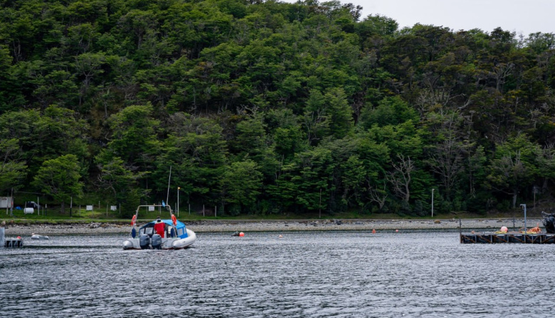 Se abren las inscripciones para las jornadas de capacitación "Zona Especial Canal Beagle"