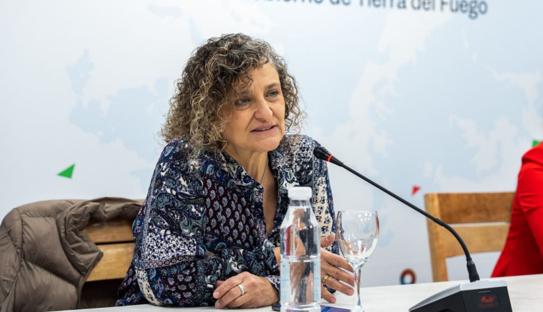 Castiglione: “Si Mirgor incumplió la conciliación obligatoria, podría ser sancionada”