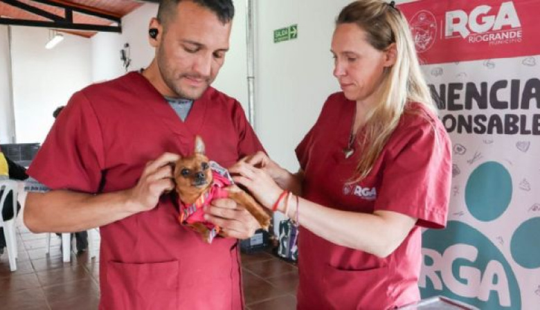 “Una mascota es un integrante más de la familia”: el Municipio refuerza la tenencia responsable