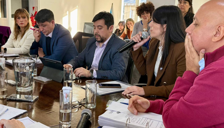Harrington, Cejas y Solís presentaron en la Legislatura las actuaciones municipales por el radar de LeoLabs