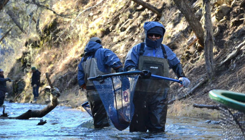 Tierra del Fuego trabaja en el repoblamiento de ríos y lagos para la temporada de pesca deportiva