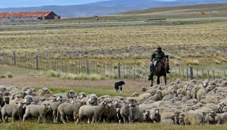La Corte Suprema rechazó la demanda del CECIM contra la derogación de la Ley de Tierras Rurales