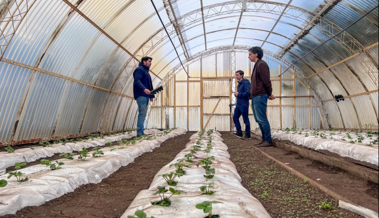 La chacra municipal agroexperimental se potencia junto a Rio Grande Activa