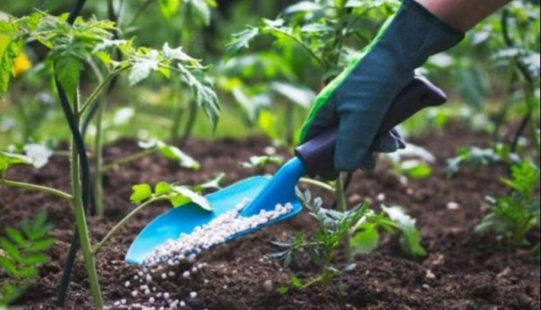 Provincia Grande brindará un taller de jardinería para aprender y generar nuevas oportunidades laborales
