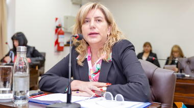 Martínez justificó la suspensión y defendió el dictamen sobre salmonicultura