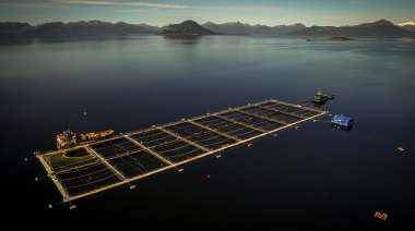 “Acá no ganó uno u otro, creo que ganó Tierra del Fuego”, Iglesias defendió la modificación de la Ley de Acuicultura