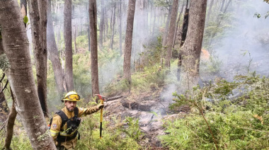 Tierra del Fuego envió brigadistas para combatir el incendio en el Parque Nacional Los Alerces