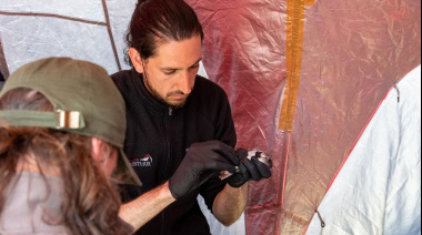 La Provincia fortaleció sus capacidades en investigación y monitoreo de Aves Playeras Migratorias