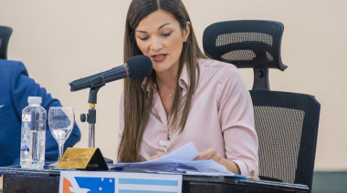 Zamora: "Quitar subsidios al gas es desconocer cómo se vive en el sur"