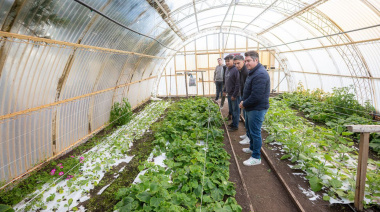 Rio Grande impulsa la primera chacra agroexperimental municipal de Tierra del Fuego