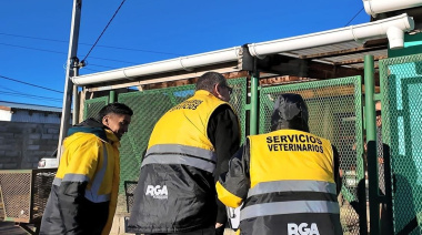 Despliegue territorial de servicios veterinarios en Zona Sur y B° Malvinas Argentinas