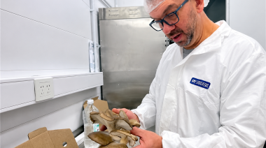 Estepa Hongos apuesta a producir alimentos fueguinos y proyecta llegar a supermercados y mercados de exportación