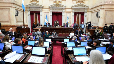 Los senadores cobrarán más de $13 millones mientras el sueldo mínimo no alcanza la canasta básica