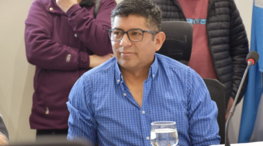 Perros asilvestrados: Municipio y Provincia buscan una estrategia conjunta para frenar el crecimiento de las jaurías