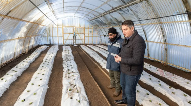 Río Grande impulsa la producción de plantas y semillas en la Chacra “Germán Asencio”