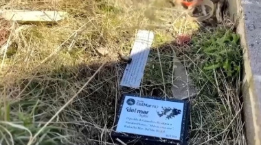 Indignación por el vandalismo en el cementerio de Darwin: arrojaron placas y ofrendas argentinas a un basural