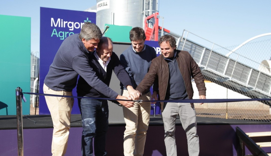Del celular al cerdo: Mirgor se reinventa y desembarca en el negocio de la carne