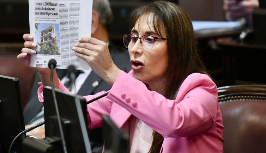 "Los que votaron la Ley de Bases y las facultades delegadas son cómplices de la destrucción del país", afirmó la senadora López