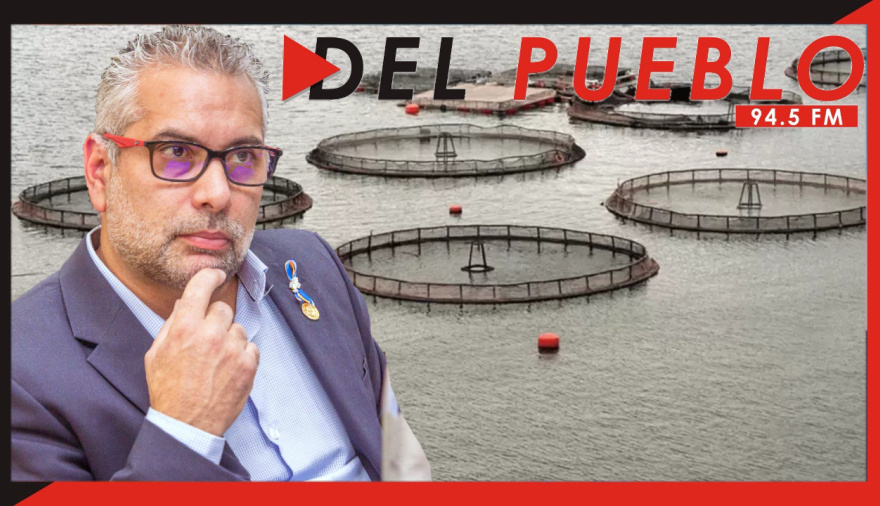 Lapadula: "la vuelta del debate por las salmoneras está dirigida a alguien en particular”
