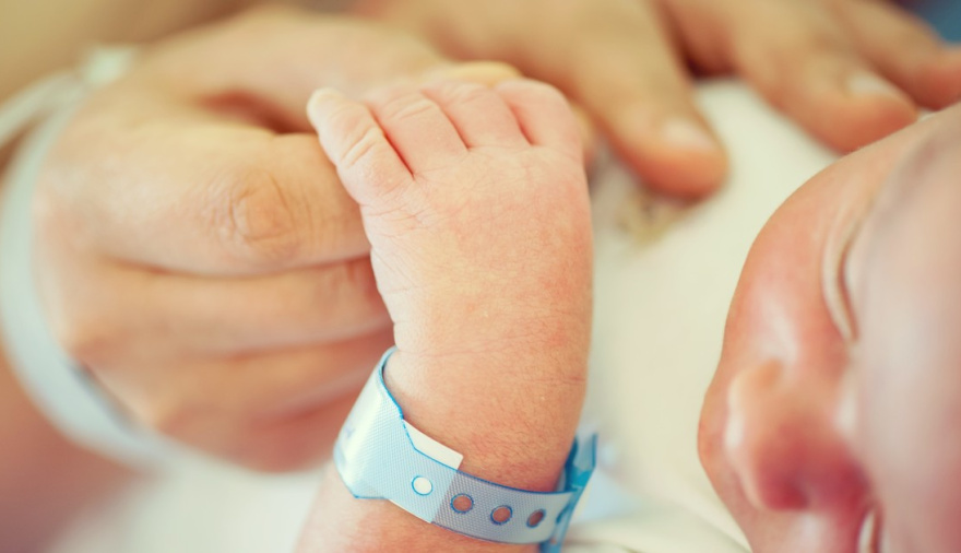 La tasa de natalidad en Tierra del Fuego cayó un 62%