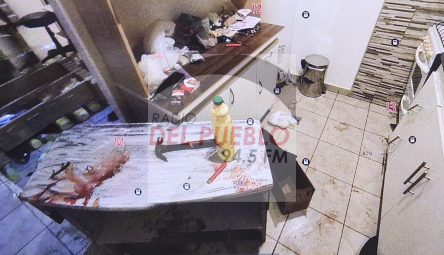 “Sostuvieron el cuchillo los dos”: revelan la feroz lucha que terminó con la vida de Baciocchi